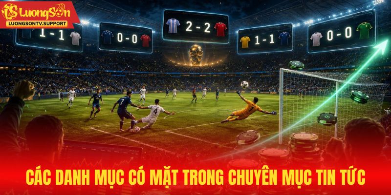 Các danh mục có mặt trong chuyên mục tin tức