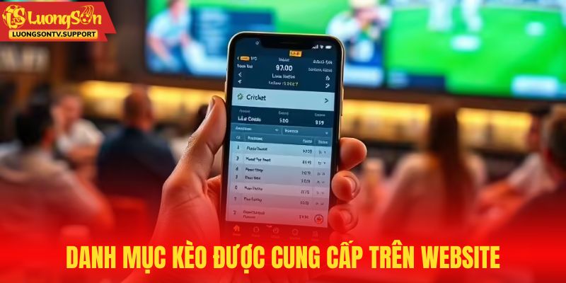 Danh mục kèo được cung cấp trên website