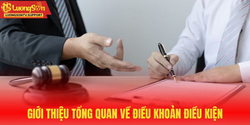 Giới thiệu tổng quan về điều khoản điều kiện