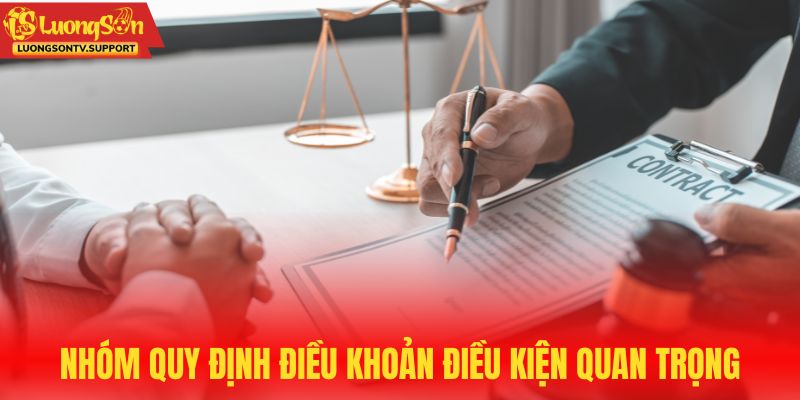 Nhóm quy định điều khoản điều kiện quan trọng