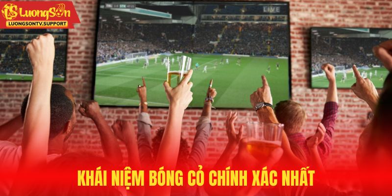 Tìm hiểu về định nghĩa bóng cỏ mới nhất