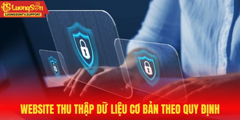 Website thu thập dữ liệu cơ bản theo quy định